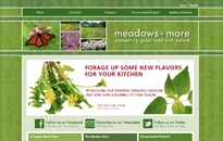 Meadows and More Website