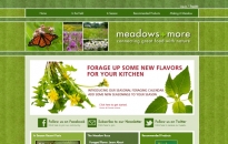 Meadows and More Home Page