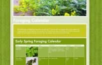 Meadows and More Foraging Calendar Page